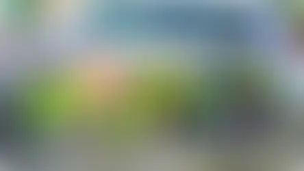 Тиждень безпеки