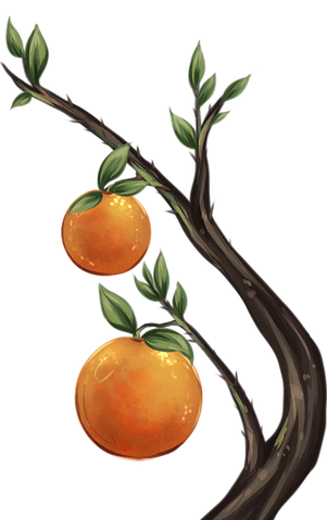 orange.png