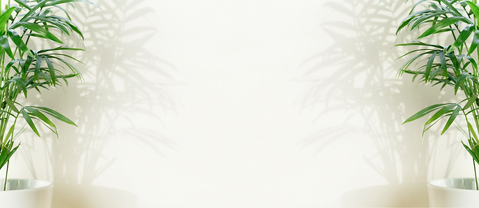 WebsiteCover (2).png