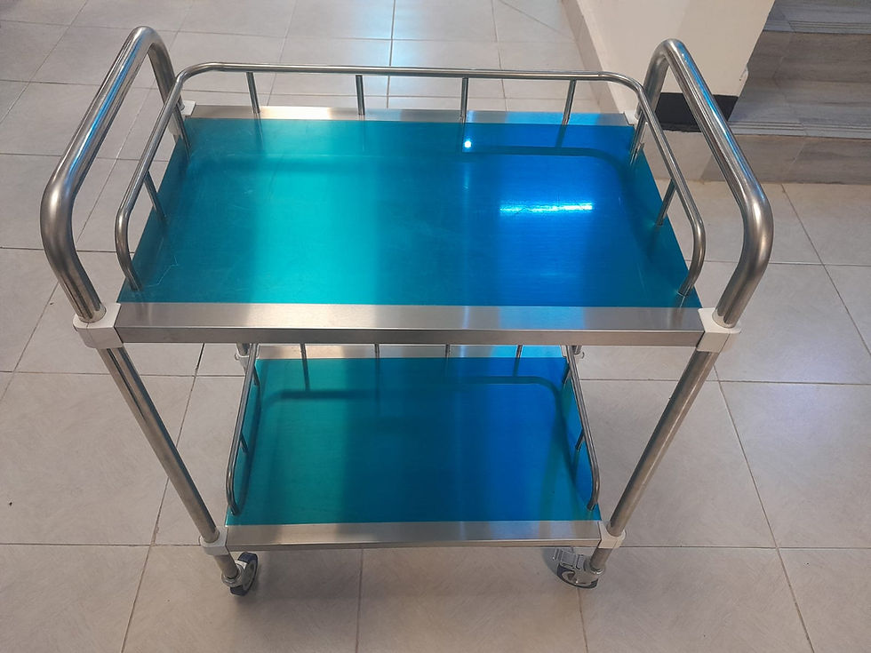 Thumbnail: 2 shelf stainless steel medicine trolley front view