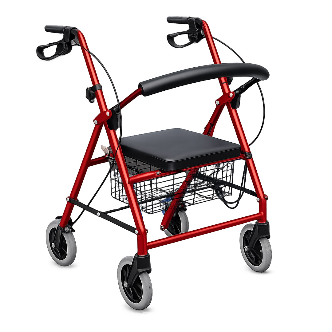 Rollator Walker Type B