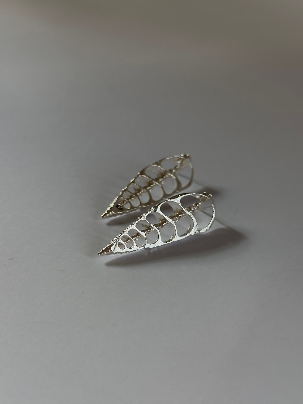 תמונה ממוזערת: כסף Shella עגילי