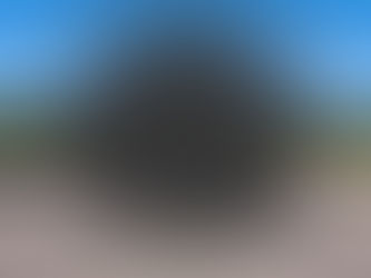 Macular Degeneration