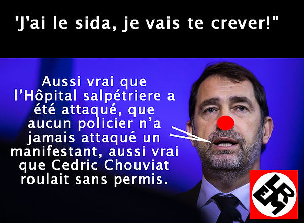 870x489_castaner copie.jpg