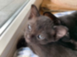 IMG_0784.JPEG