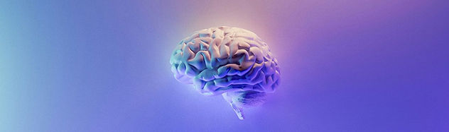 milad-fakurian-58Z17lnVS4U-unsplash (1).jpg