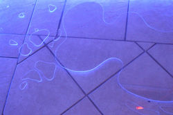 Vidinha vizinha/Neighbors like life,