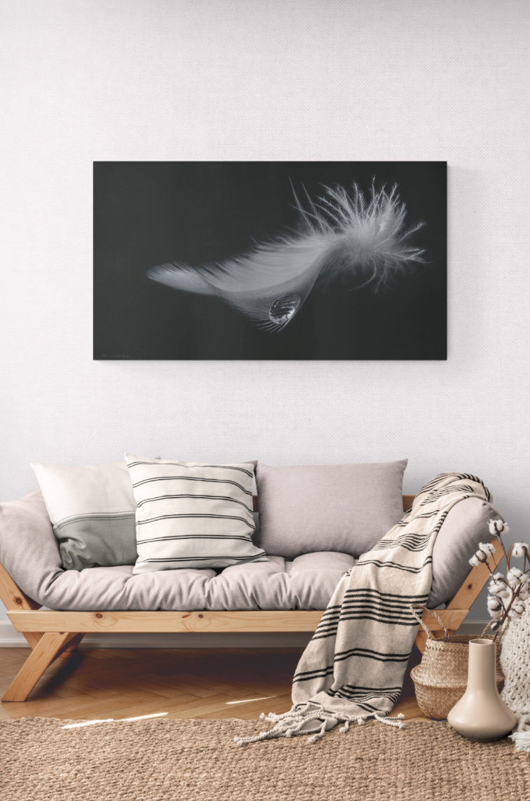 Wall art prints for sale by Chris Summer. Undulate