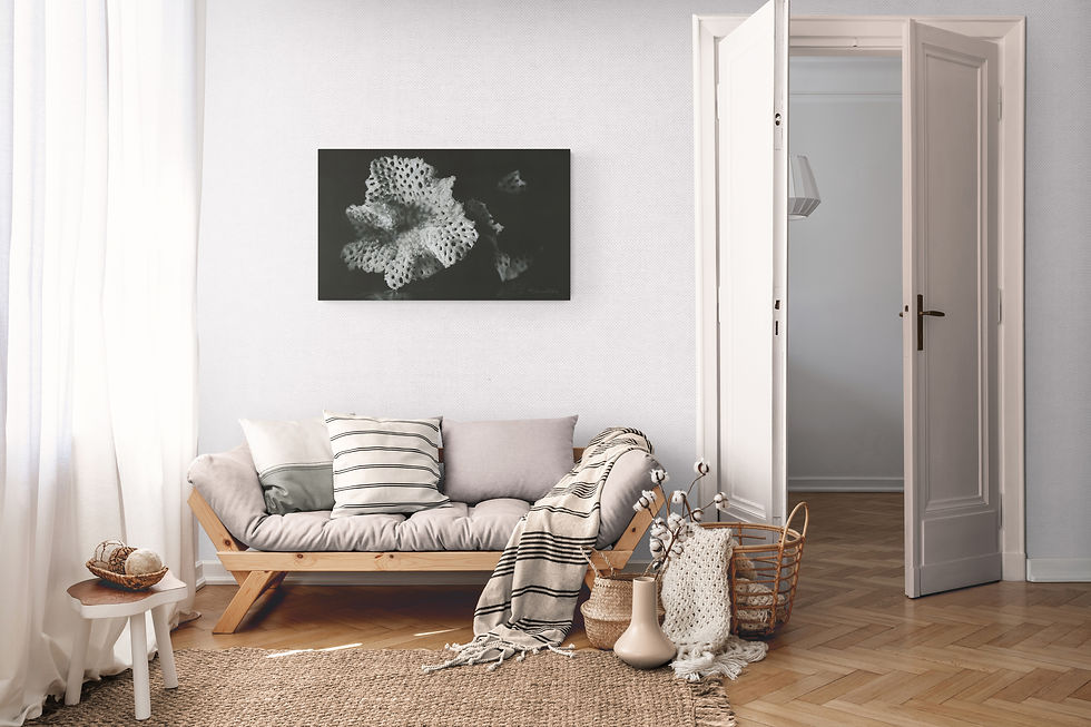 Thumbnail: Wall art prints for sale by Chris Summer. Fragility