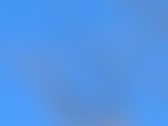 アナベル明日オープンです