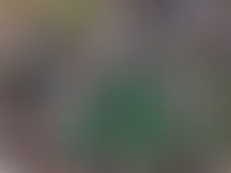 春が近づいています