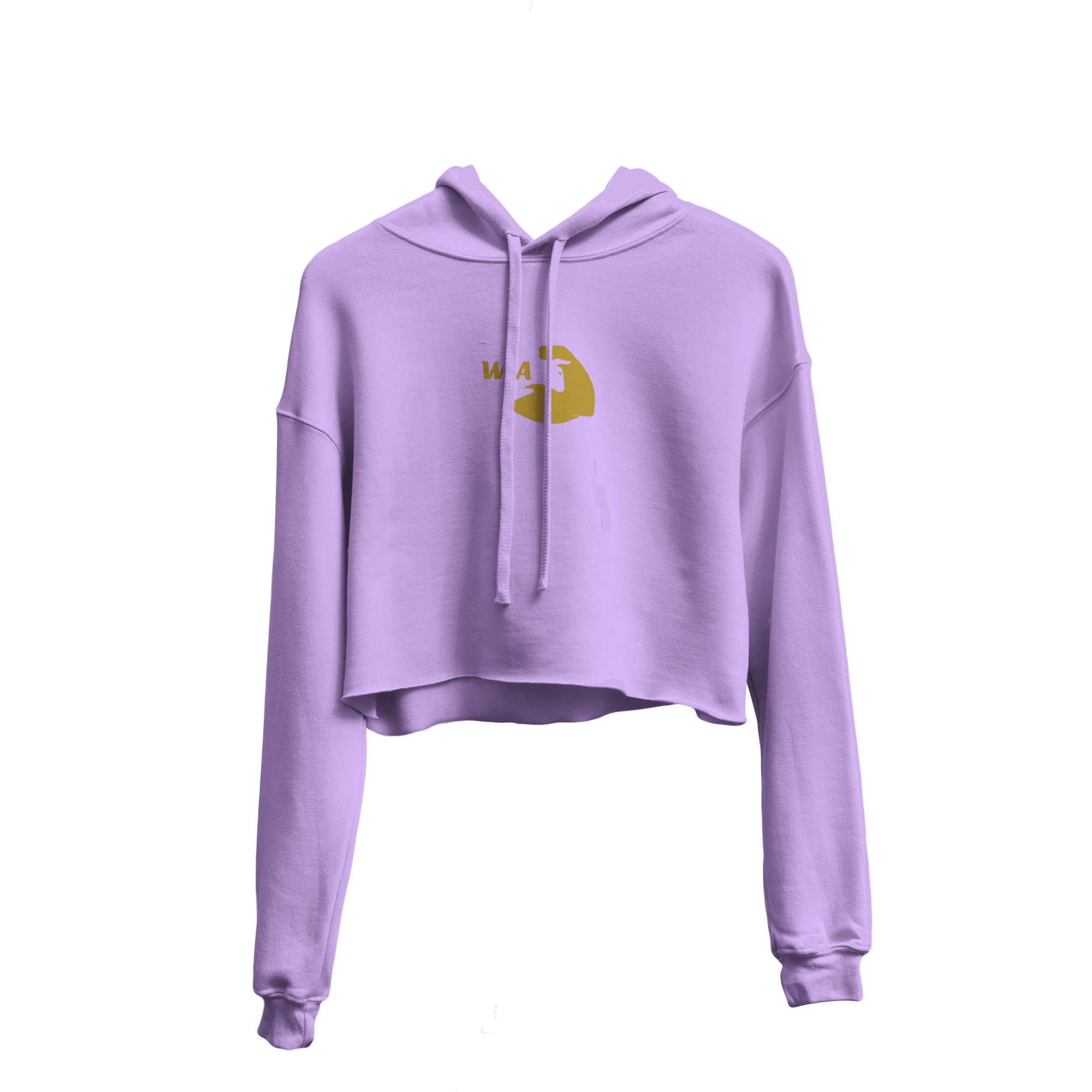 "Iridescent" Classic Crop Top Hoodie