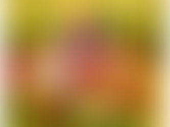 Témoignage d'Astrid