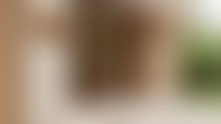 Passo a passo do divórcio em cartório: simplificando o processo