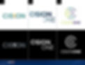 CisionOne-Phase3B-Concepts-SS_edited.jpg