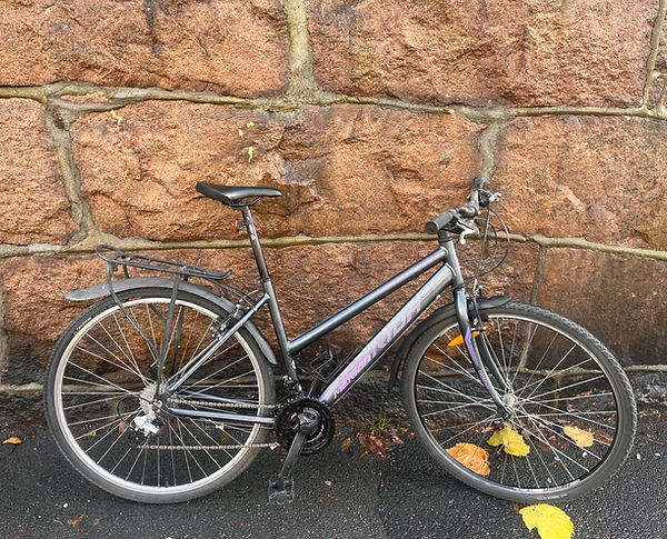 Merida Crossway.jpeg