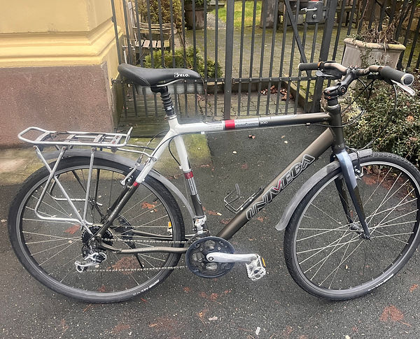 Univega Terreno 300.jpeg