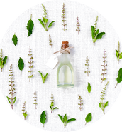 aromes bis.png