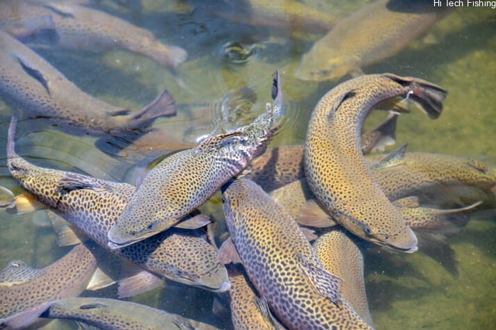 image-20230725113631-1.png