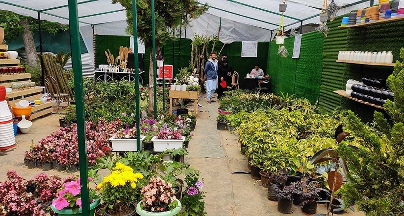 Kulgam-Nursery.png