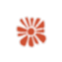 Diseño sin título - 2025-05-21T173027.960.png