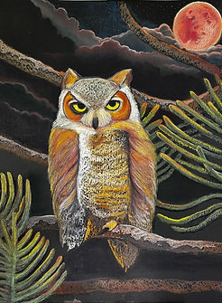 WhatsApp Image 2026-03-09 at 5.04.33 PM.jpeg