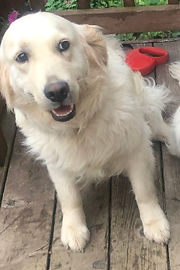 Nala