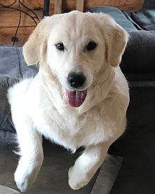 Nala