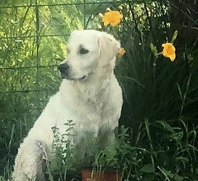 Charlie