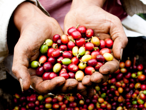 Colombian Coffee is a must