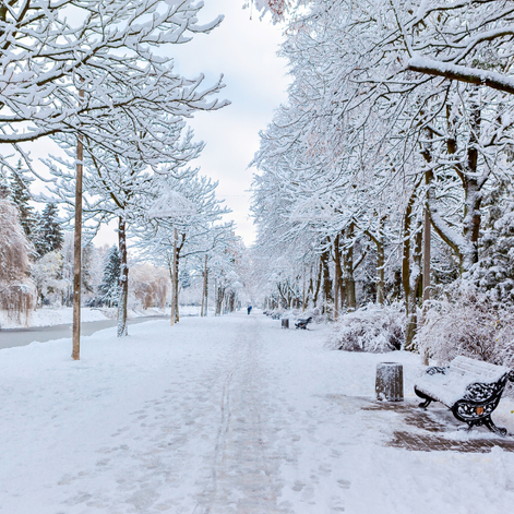 a silent, snowy town 
