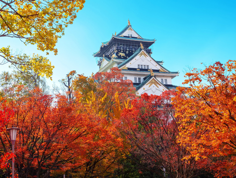 Japan Autumn