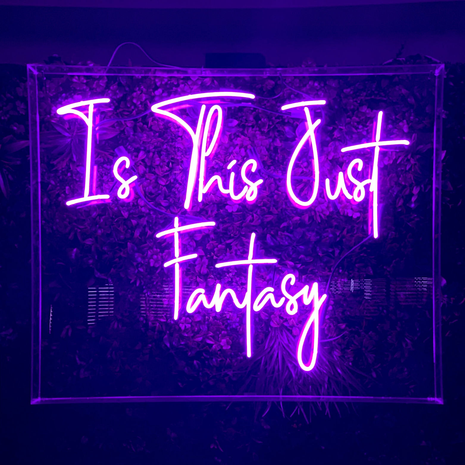 Hot Nights and Neon Lights: Thailand’s VIP After-Hours Experience (2Q3)