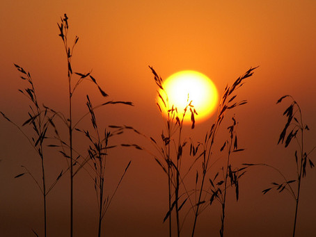 Two Poems by Gervanna Stephens