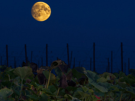 Call for Submissions: Vol. 6–The Halloween Issue