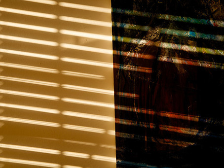Two Poems by James Diaz