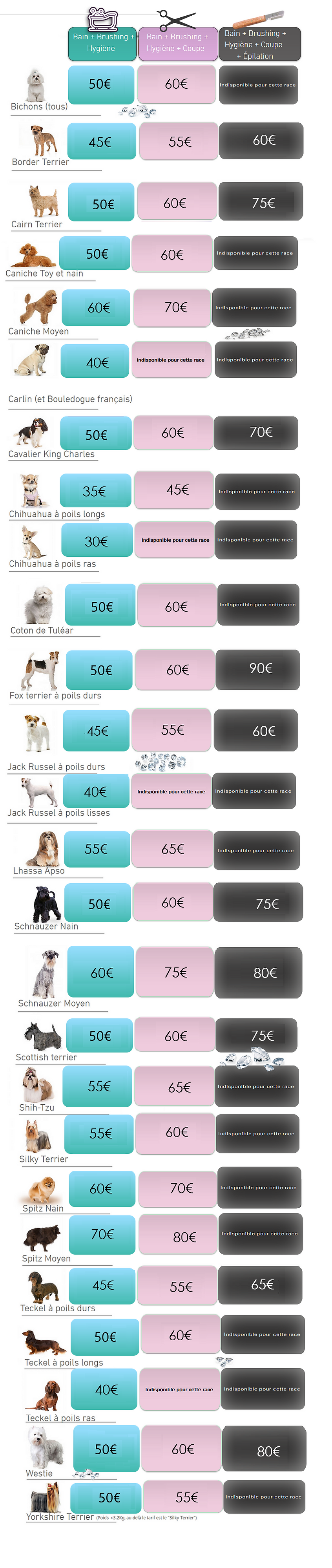 Tableau tarif2025.png