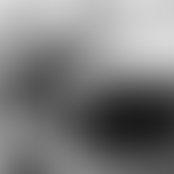 2º Grande Prêmio Haijin do Brasil | CONHEÇA OS VENCEDORES | 5º lugar — Mauro André Oliveira