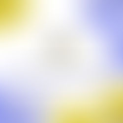 5° Prêmio MicroConto de Ouro: marcada a data de anúncio do resultado!