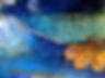 slimbridge selection.jpg 4.JPG