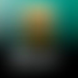 Leia "Canteiros" Livro de Ana Maria Rocha Barrozo publicado pelo Selo Enluaradas 