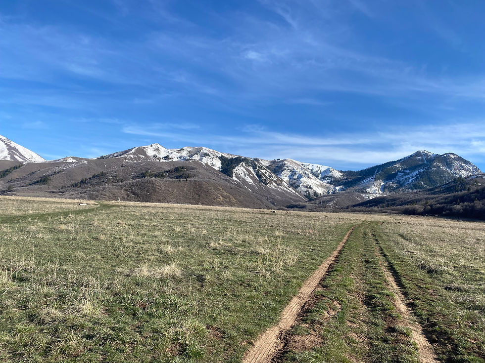 Setting Personal Boundaries