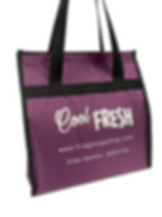 FTG-1202V Cool Fresh Tote