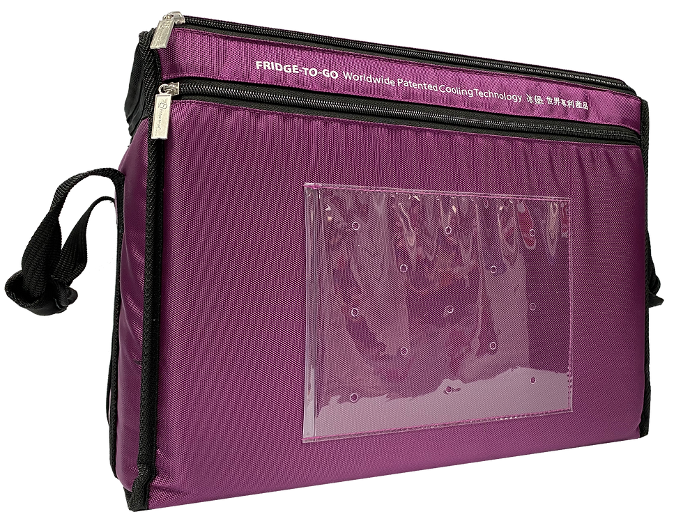 Thumbnail: FTG-9010MEV-T1 Cold Box 25L