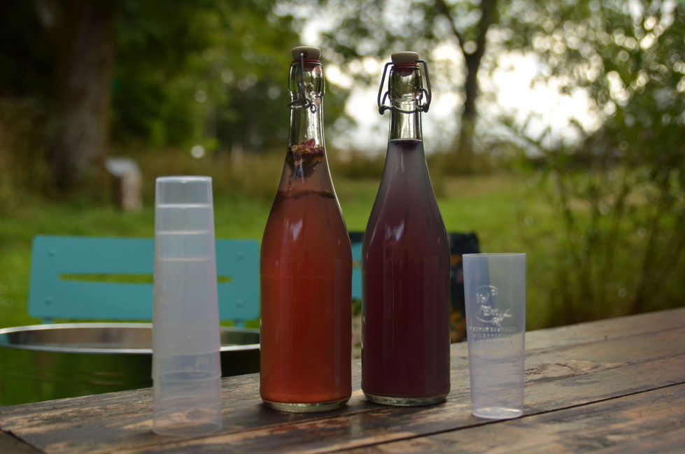 Boissons aux plantes artisanales