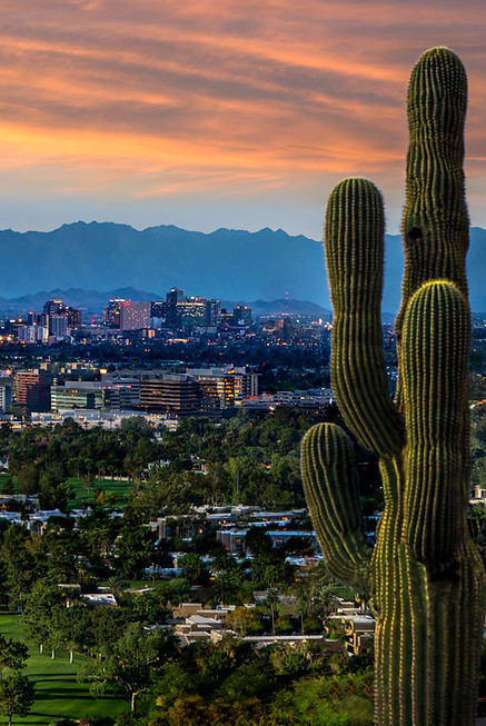 Phoenix-Destination-Brief-Feature-Image.jpg