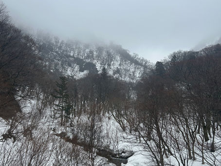 大山を「歩く」──静かな斜面と歩くスキーの時間