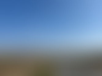 春の気配が漂う田園の一本道。走り出す前から、体と心がゆっくり目を覚ます。