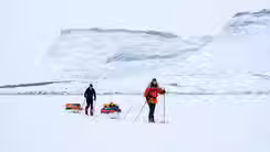 Marche au pays réel: à la découverte du territoire nordique