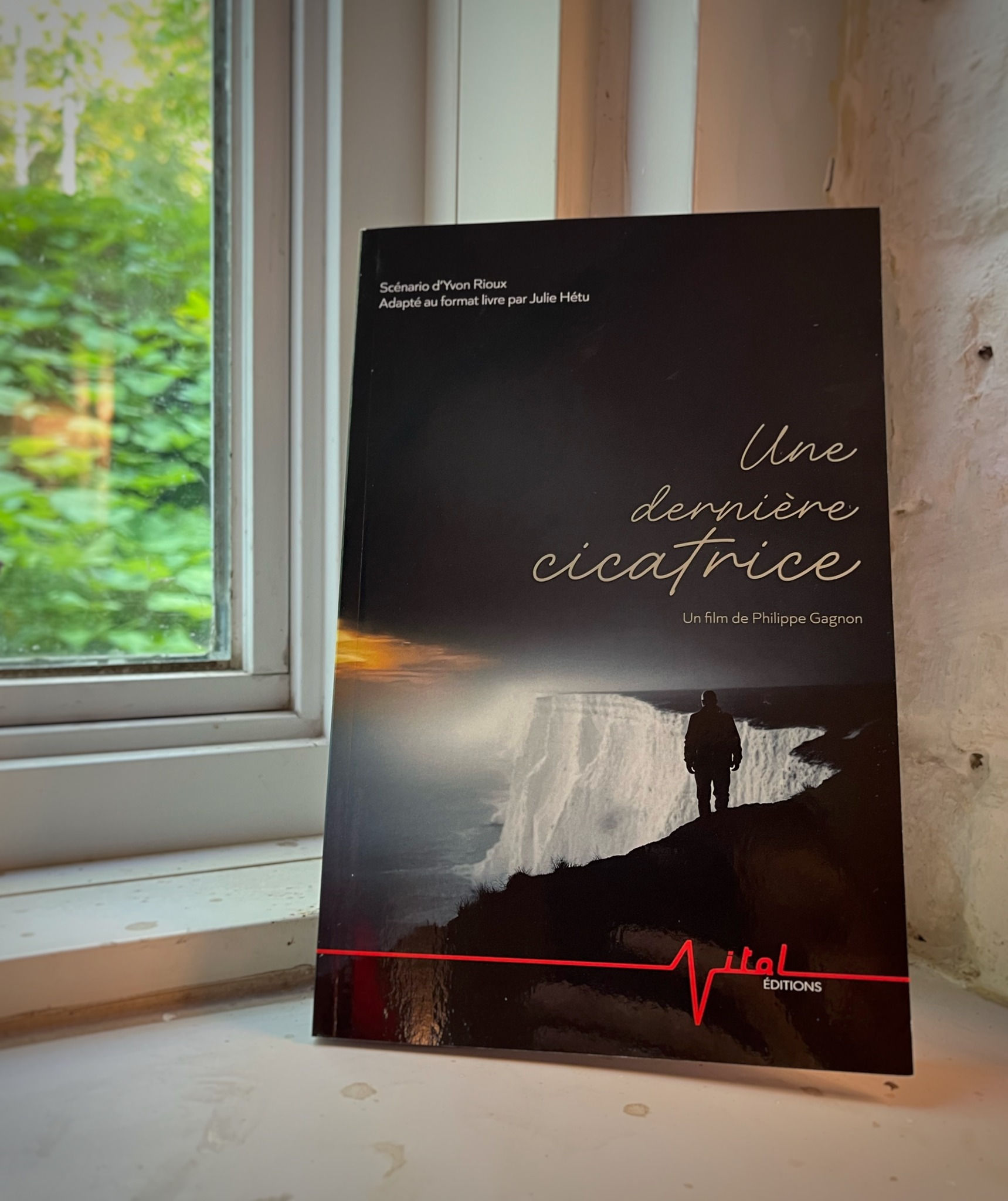 LIVRE « Une dernière cicatrice »